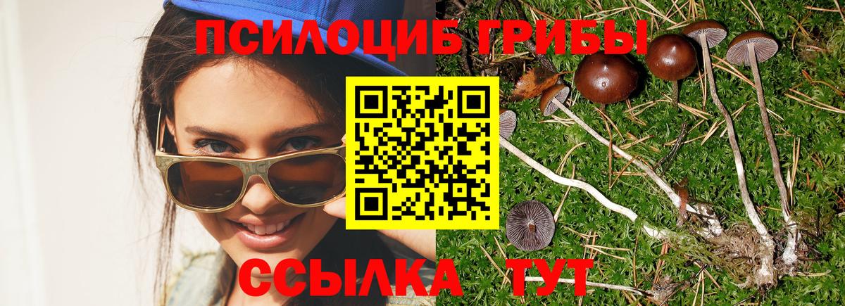 Псилоцибиновые грибы мухоморы Пенза