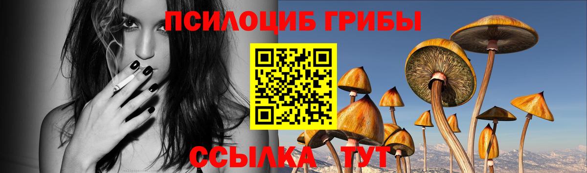 Пенза  Псилоцибиновые грибы прущие грибы  Вход с VPN 